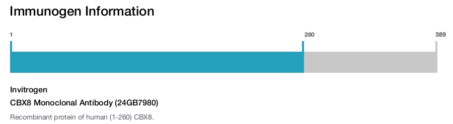 CBX8 Monoclonal Antibody (24GB7980)