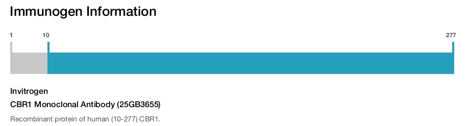 CBR1 Monoclonal Antibody (25GB3655)