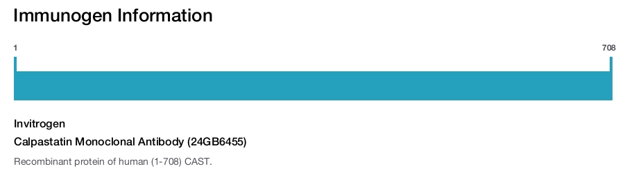 Calpastatin Monoclonal Antibody (24GB6455)
