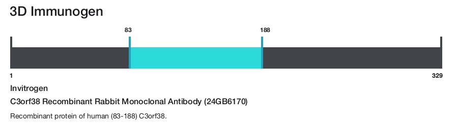 C3orf38 Recombinant Rabbit Monoclonal Antibody (24GB6170)