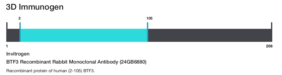 BTF3 Recombinant Rabbit Monoclonal Antibody (24GB6880)