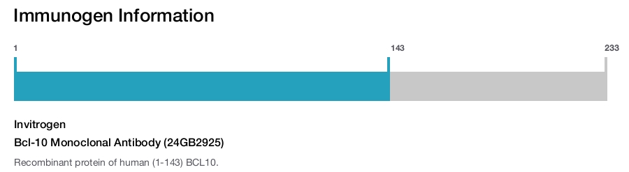 Bcl-10 Monoclonal Antibody (24GB2925)
