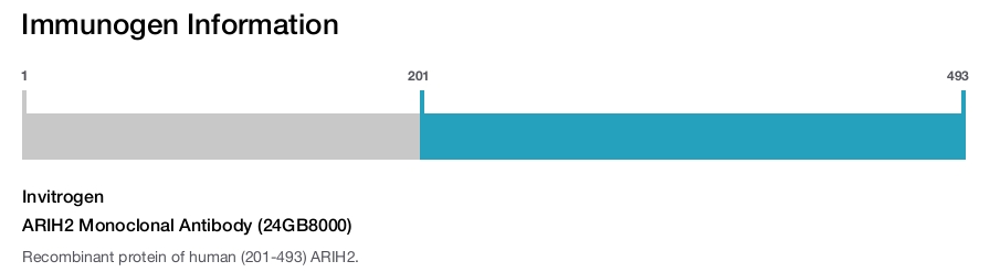 ARIH2 Monoclonal Antibody (24GB8000)