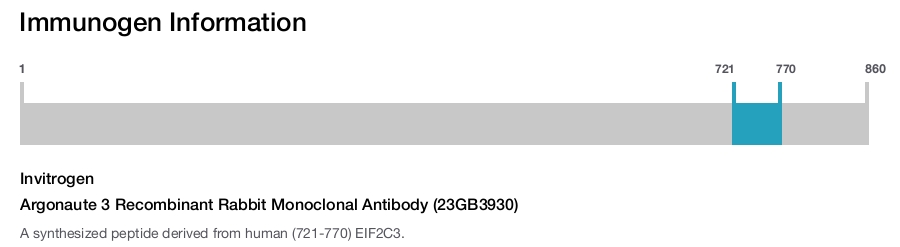 Argonaute 3 Recombinant Rabbit Monoclonal Antibody (23GB3930)