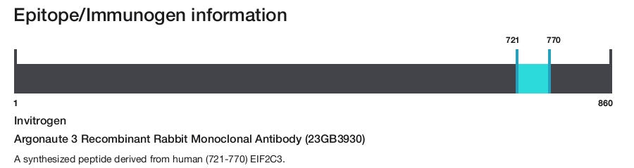 Argonaute 3 Recombinant Rabbit Monoclonal Antibody (23GB3930)