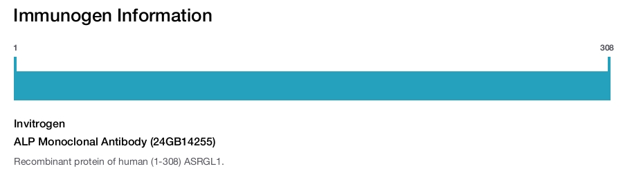 ALP Monoclonal Antibody (24GB14255)