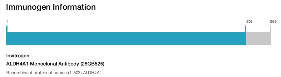 ALDH4A1 Monoclonal Antibody (25GB525)