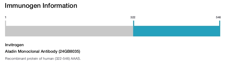 Aladin Monoclonal Antibody (24GB8035)