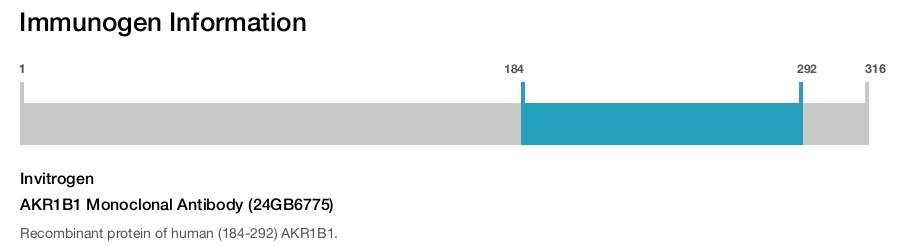 AKR1B1 Monoclonal Antibody (24GB6775)