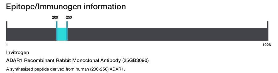 ADAR1 Recombinant Rabbit Monoclonal Antibody (25GB3090)