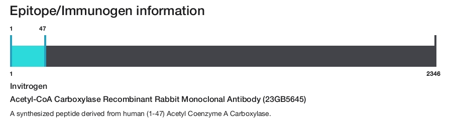 Acetyl-CoA Carboxylase Recombinant Rabbit Monoclonal Antibody (23GB5645)