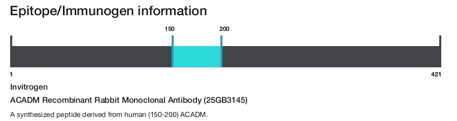 ACADM Recombinant Rabbit Monoclonal Antibody (25GB3145)