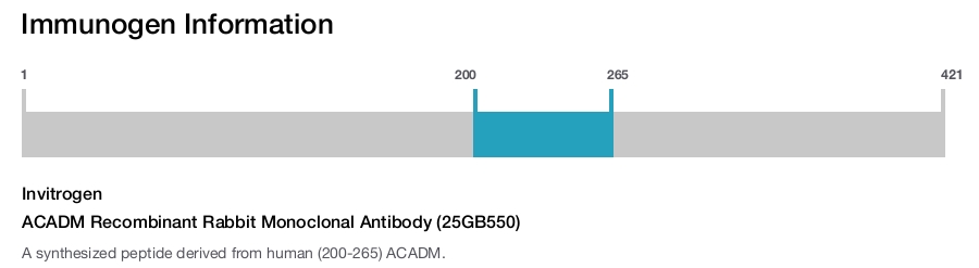 ACADM Recombinant Rabbit Monoclonal Antibody (25GB550)