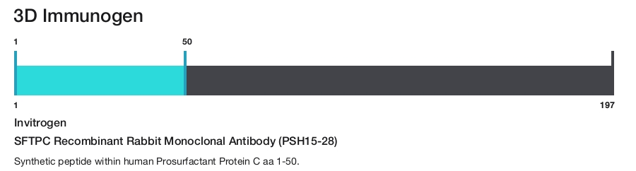 SFTPC Recombinant Rabbit Monoclonal Antibody (PSH15-28)