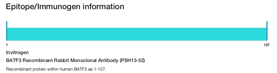 BATF3 Recombinant Rabbit Monoclonal Antibody (PSH13-52)