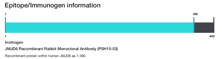 JMJD6 Recombinant Rabbit Monoclonal Antibody (PSH15-03)