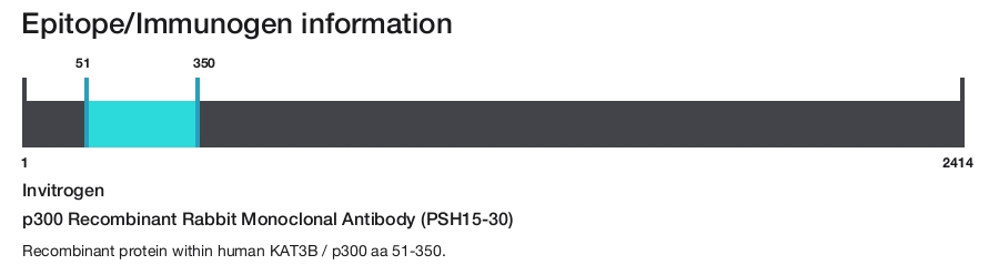 p300 Recombinant Rabbit Monoclonal Antibody (PSH15-30)