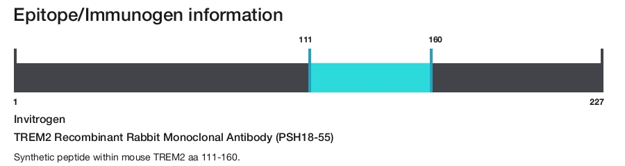 TREM2 Recombinant Rabbit Monoclonal Antibody (PSH18-55)