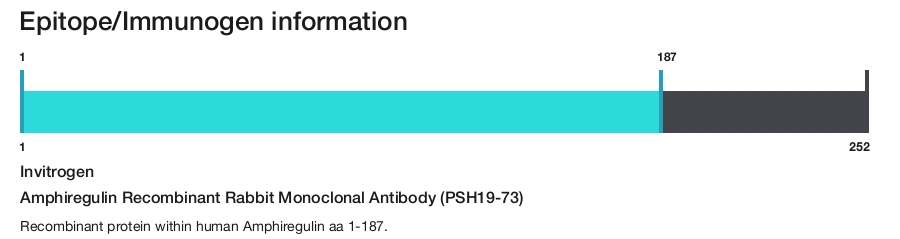 Amphiregulin Recombinant Rabbit Monoclonal Antibody (PSH19-73)