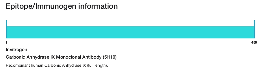 Carbonic Anhydrase IX Monoclonal Antibody (5H10)