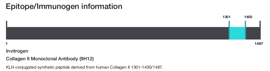 Collagen II Monoclonal Antibody (9H12)