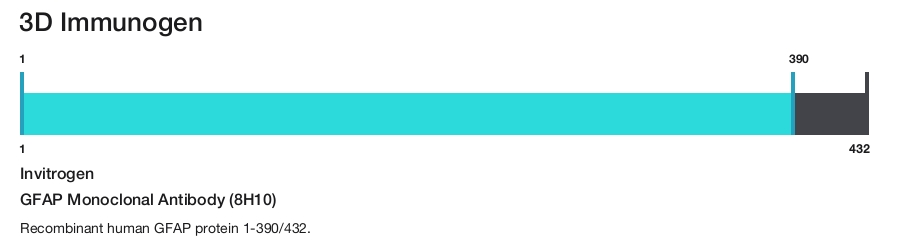 GFAP Monoclonal Antibody (8H10)