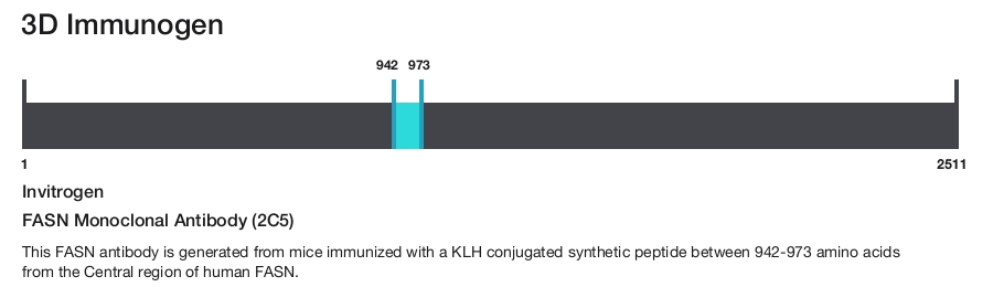 FASN Monoclonal Antibody (2C5)