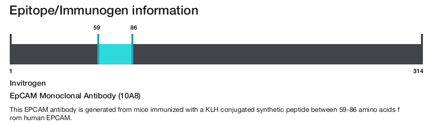 EpCAM Monoclonal Antibody (10A8)