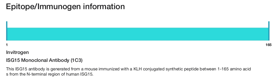 ISG15 Monoclonal Antibody (1C3)