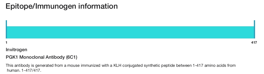 PGK1 Monoclonal Antibody (6C1)