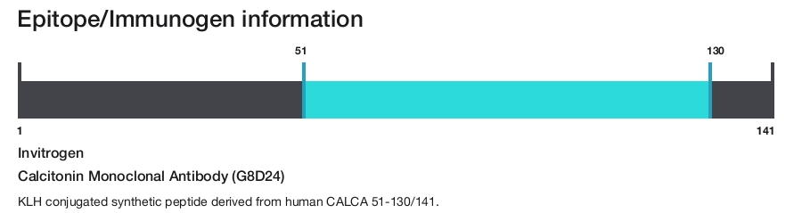 Calcitonin Monoclonal Antibody (G8D24)
