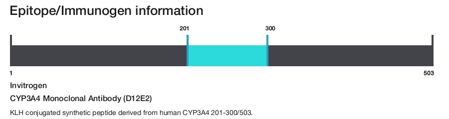 CYP3A4 Monoclonal Antibody (D12E2)