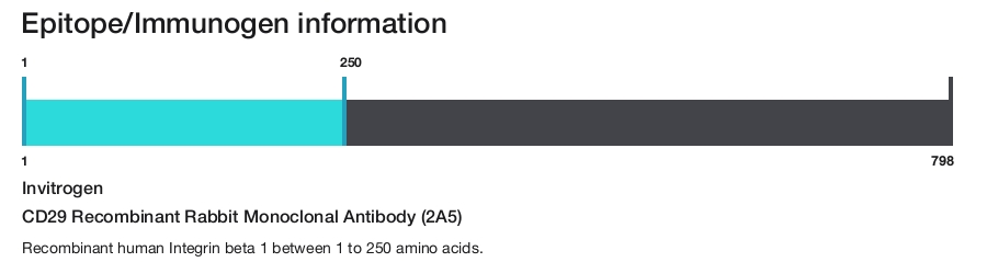 CD29 Recombinant Rabbit Monoclonal Antibody (2A5)