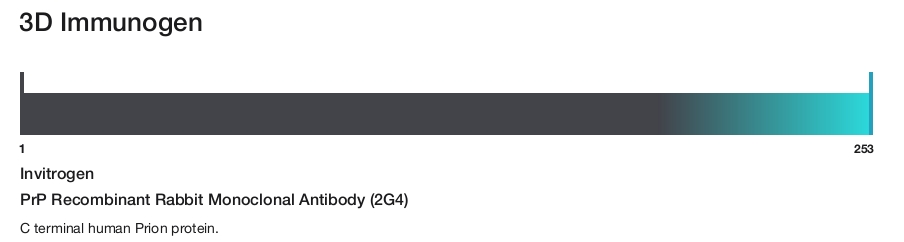 PrP Recombinant Rabbit Monoclonal Antibody (2G4)