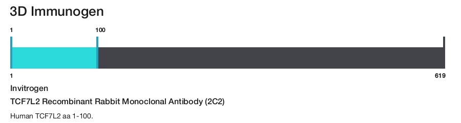 TCF7L2 Recombinant Rabbit Monoclonal Antibody (2C2)
