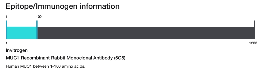 MUC1 Recombinant Rabbit Monoclonal Antibody (5G5)