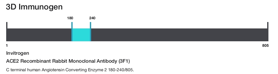 ACE2 Recombinant Rabbit Monoclonal Antibody (3F1)
