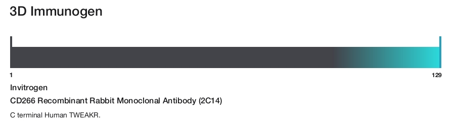 CD266 Recombinant Rabbit Monoclonal Antibody (2C14)