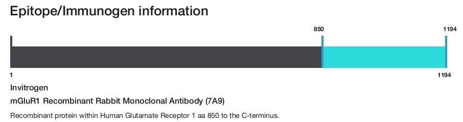 mGluR1 Recombinant Rabbit Monoclonal Antibody (7A9)