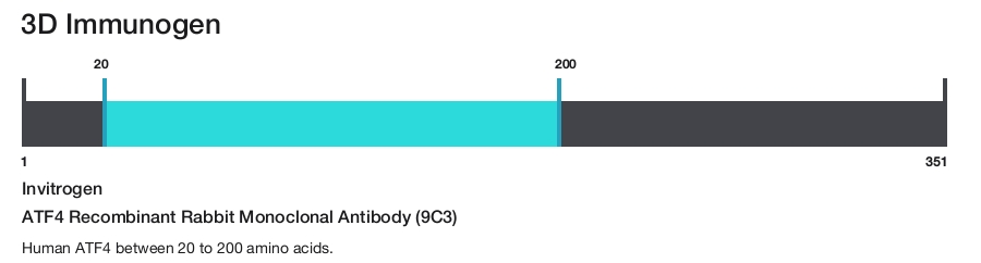 ATF4 Recombinant Rabbit Monoclonal Antibody (9C3)
