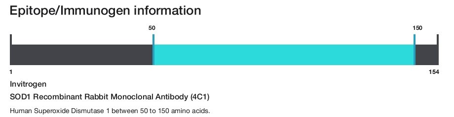 SOD1 Recombinant Rabbit Monoclonal Antibody (4C1)