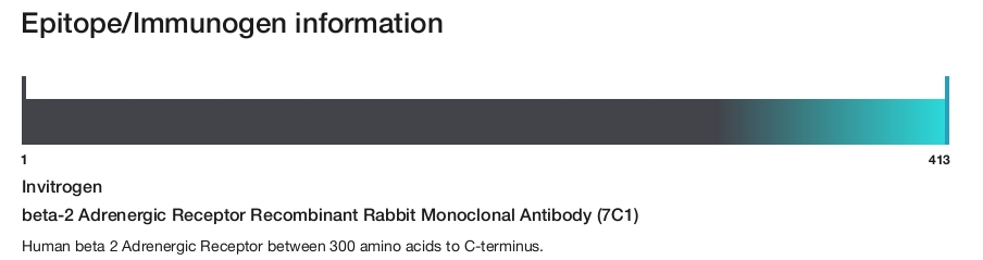 beta-2 Adrenergic Receptor Recombinant Rabbit Monoclonal Antibody (7C1)