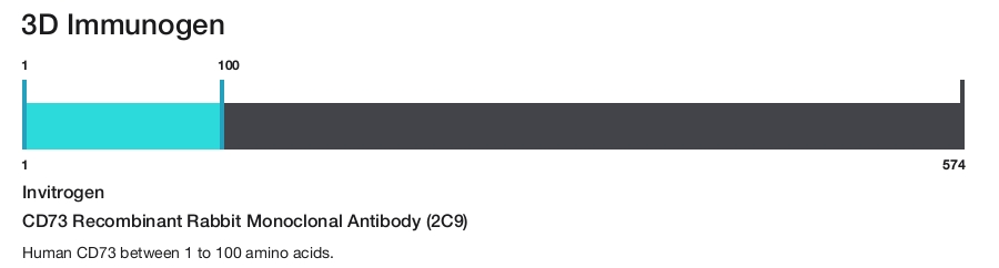 CD73 Recombinant Rabbit Monoclonal Antibody (2C9)