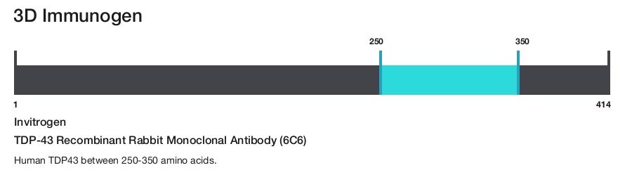 TDP-43 Recombinant Rabbit Monoclonal Antibody (6C6)