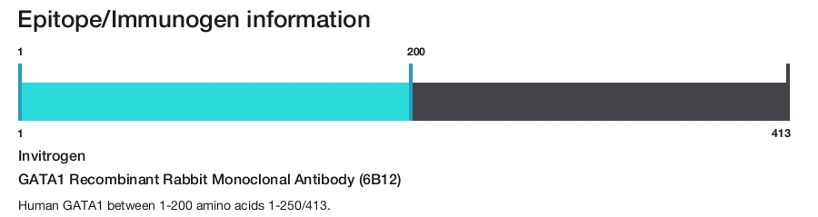 GATA1 Recombinant Rabbit Monoclonal Antibody (6B12)