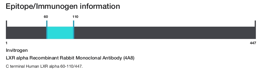 LXR alpha Recombinant Rabbit Monoclonal Antibody (4A8)