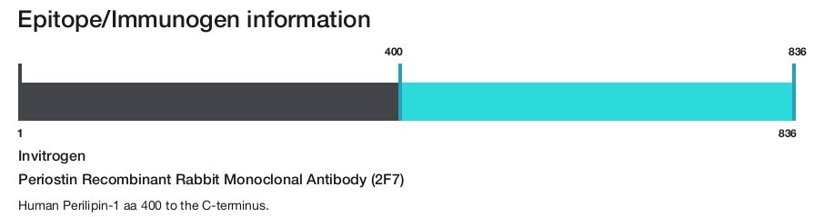 Periostin Recombinant Rabbit Monoclonal Antibody (2F7)