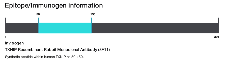 TXNIP Recombinant Rabbit Monoclonal Antibody (8A11)