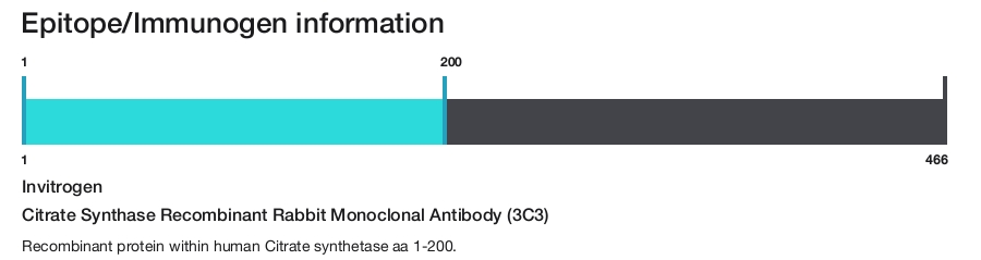 Citrate Synthase Recombinant Rabbit Monoclonal Antibody (3C3)