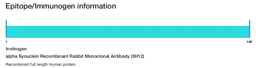 alpha Synuclein Recombinant Rabbit Monoclonal Antibody (3H12)